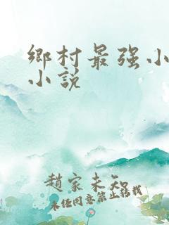 乡村最强小神农小说