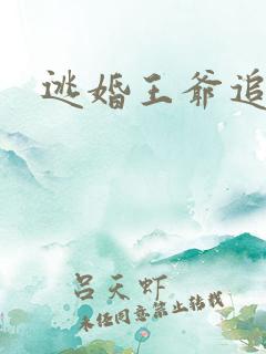 逃婚王爷追逃妃