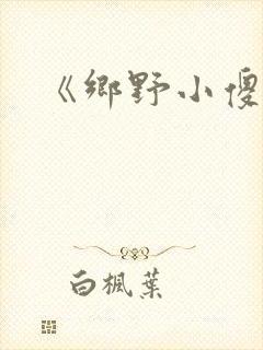 《乡野小傻医》