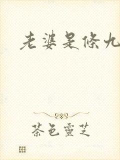 老婆是条九尾狐