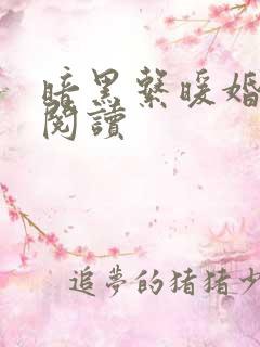 暗黑系暖婚免费阅读