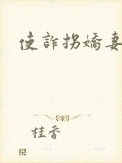 使诈拐娇妻