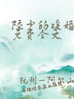 陆少的暖婚新妻免费全文