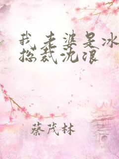 我老婆是冰山女总裁沈浪