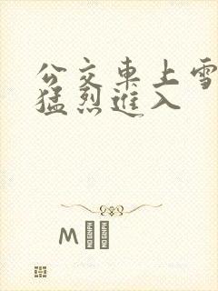 公交车上雪柔被猛烈进入