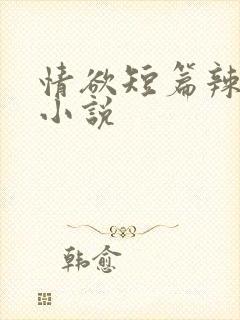 情欲短篇辣文肉小说