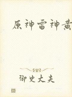 原神雷神黄本本