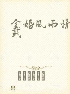 金婚风雨情 下载