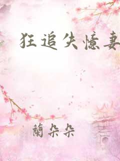 狂追失忆妻