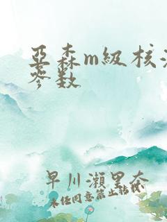 亚森m级核潜艇参数