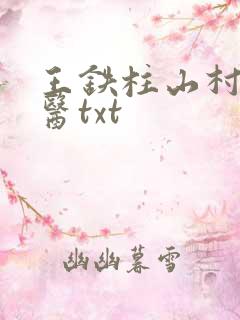 王铁柱山村小神医txt