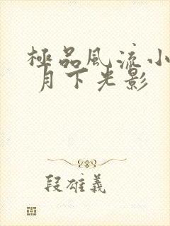 极品风流小村医 月下光影