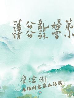 荡公乱妇第1章情公苏雪小说