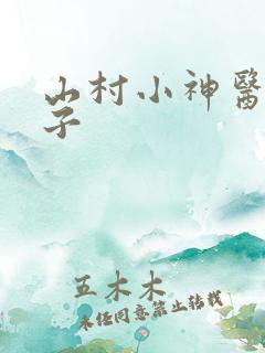 山村小神医二傻子