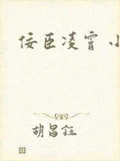 佞臣凌霄 小说
