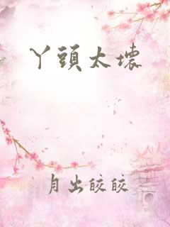 丫头太坏