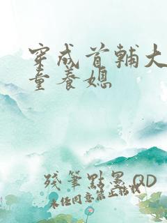 穿成首辅大人的童养媳