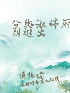 公与淑婷厨房猛烈进出