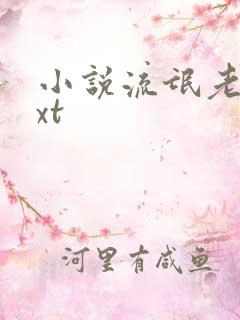 小说流氓老师txt