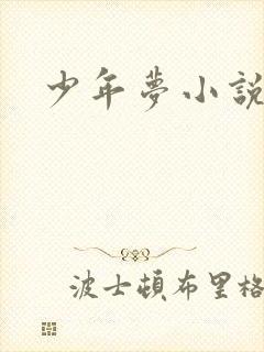 少年梦小说