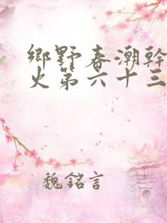 乡野春潮干柴烈火第六十三章
