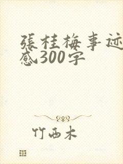 张桂梅事迹观后感300字