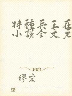 特种兵王在山村小说全文免费阅读