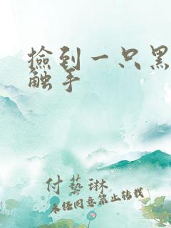 捡到一只黑心小触手