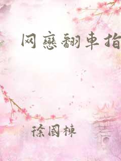 网恋翻车指南