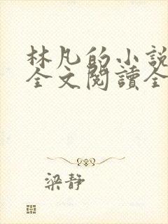林凡的小说免费全文阅读全文