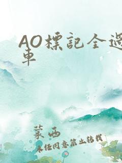 AO标记全过程车