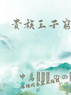 贵族王子穷公主