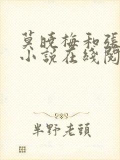 莫晓梅和张医生小说在线阅读