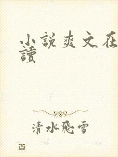 小说爽文在线阅读