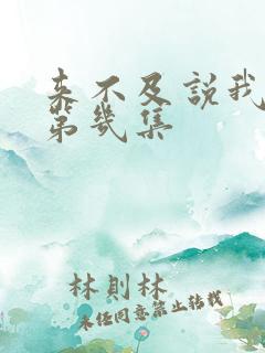来不及说我爱你第几集