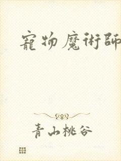 宠物魔术师下载