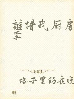 谁借我厨房第三季