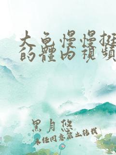 大龟慢慢挺进我的体内视频