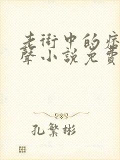 老街中的痞子有声小说免费听