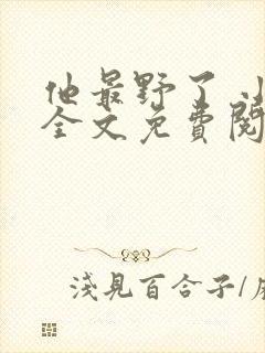 他最野了 小说全文免费阅读