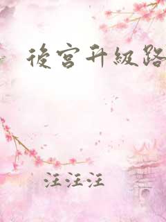 后宫升级路