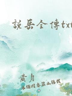 说岳全传txt