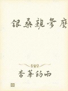 银桑亲爹么么哒