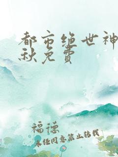 都市绝世神医叶秋免费
