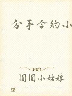 分手合约小说