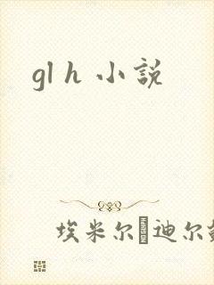 gl h 小说