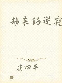 劫来的逆宠