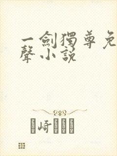 一剑独尊免费有声小说