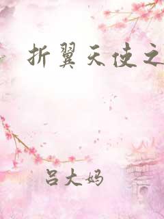 折翼天使之城3