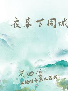 夜幕下同城网